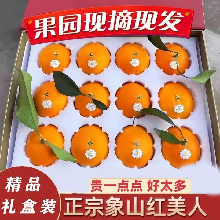 正宗象山红美人柑橘新鲜水果爱媛28号橘子当季现摘现发礼盒
