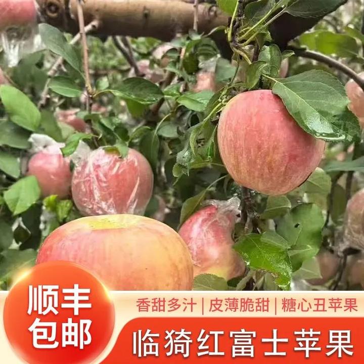 【顺丰包邮】正宗临猗红富士薄皮脆甜冰糖心丑苹果整箱新鲜应季水果