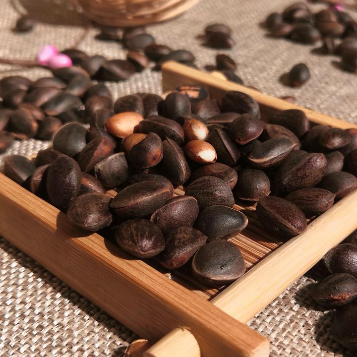 云南新鲜生松子落水松零食坚果原味松树坚果大颗粒松子2025年新货