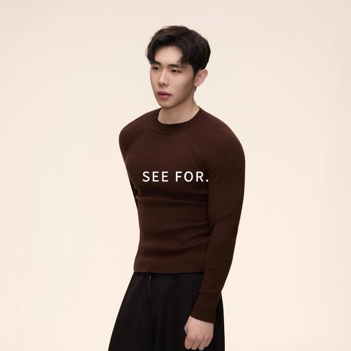 SEE FOR 流体线型 肌理感插肩袖毛衣男秋冬季修身内搭打底针织衫