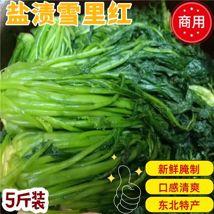 【东北雪里红5斤】东北特产新鲜腌制雪里红下饭菜农家大缸腌制商用