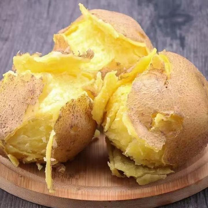 甘肃定西高山沙地新鲜黄皮黄心土豆现挖现发沙糯粉面坏果烂果包赔