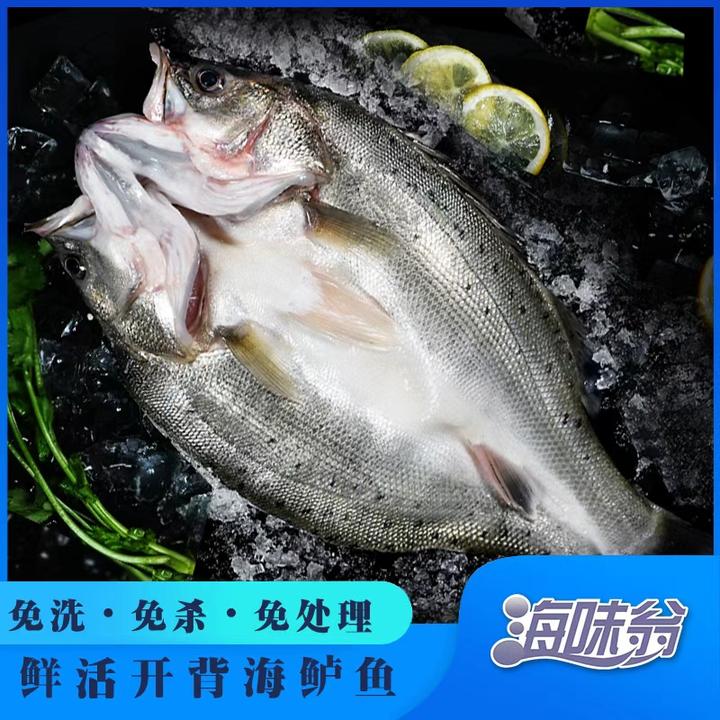 海味翁  2025新鲜 盐渍海鲈鱼 肉质鲜美 腌制冷冻400g/条*3条