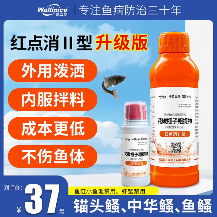 红点消2型升级版锚头鳋中华鳋内服外泼专用纯植物安全不伤水正品