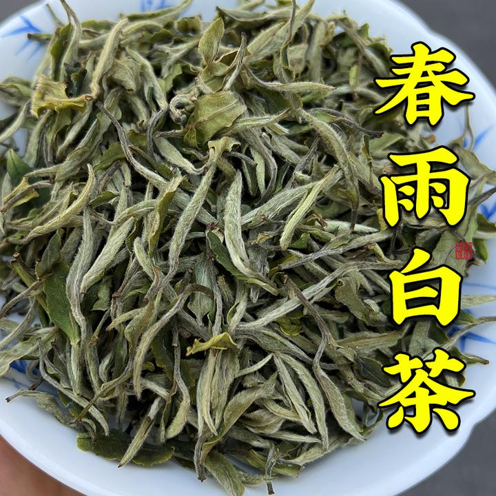 【春雨白茶】日晒白茶 甘甜花果香 润甜 喉咙回香持久