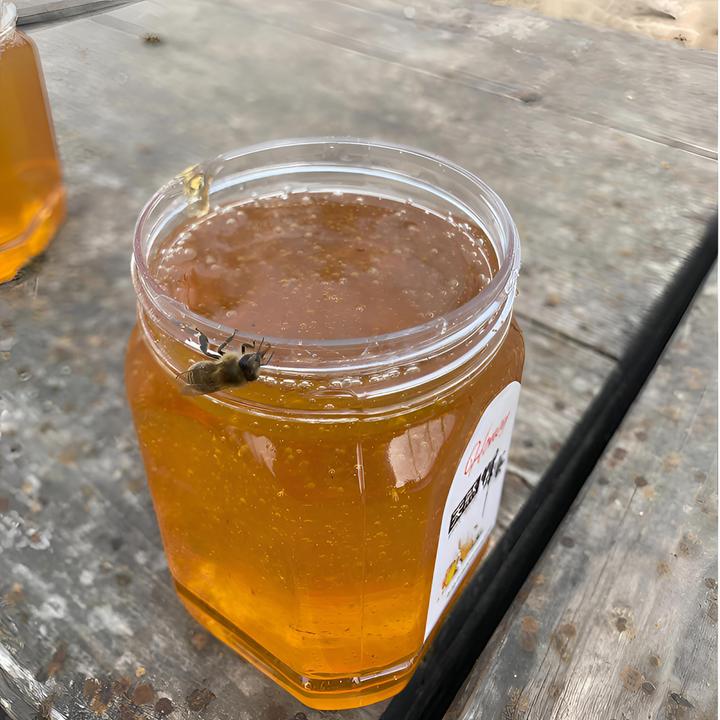 山西晋南枣花蜜【带检测报告】酸枣花土蜂蜜【顺丰直达】纯蜂蜜