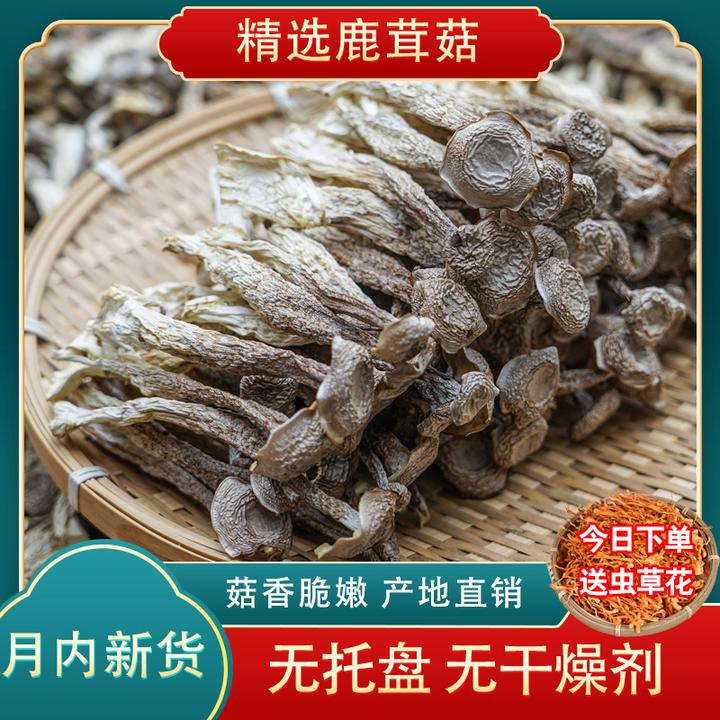 精品鹿茸菇500g/250g古田特产干货菌菇当月新货爆炒炖汤火锅食材