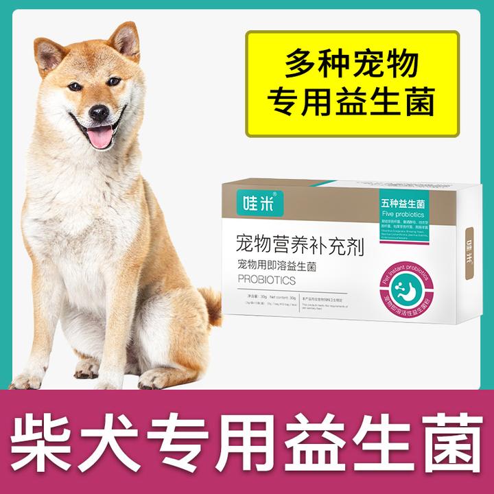 柴犬专用益生菌粉成幼犬用狗狗宠物即溶肠胃宝肠道消化宝卫生
