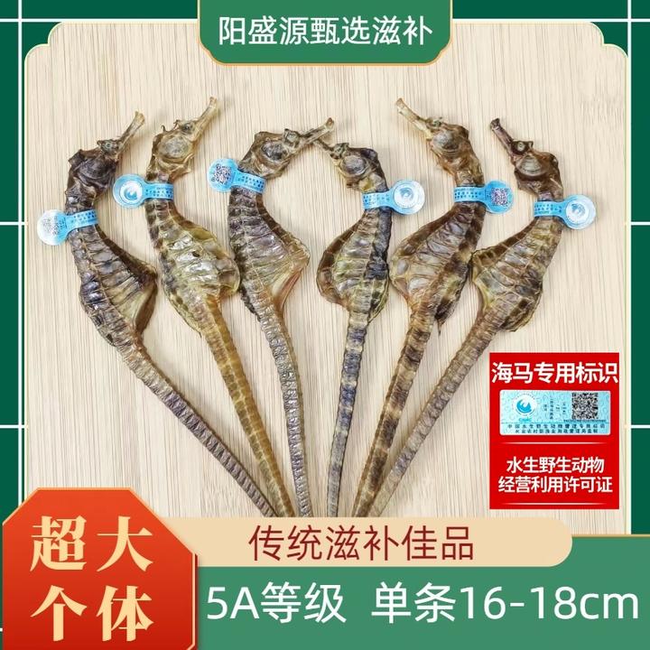 公母搭配海干货煲汤汤料海马正品海马海马干货