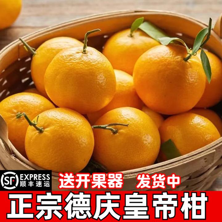 正宗德庆老树皇帝柑广东贡柑橘桔子孕妇当季新鲜水果整箱10斤包邮