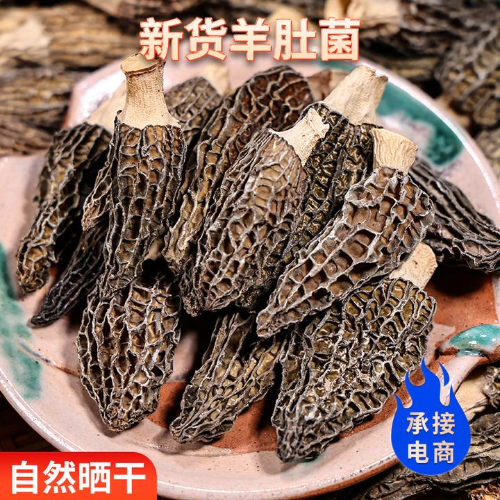 云南头茬厚肉羊肚菌干货无熏硫营养煲汤食材小个更鲜美