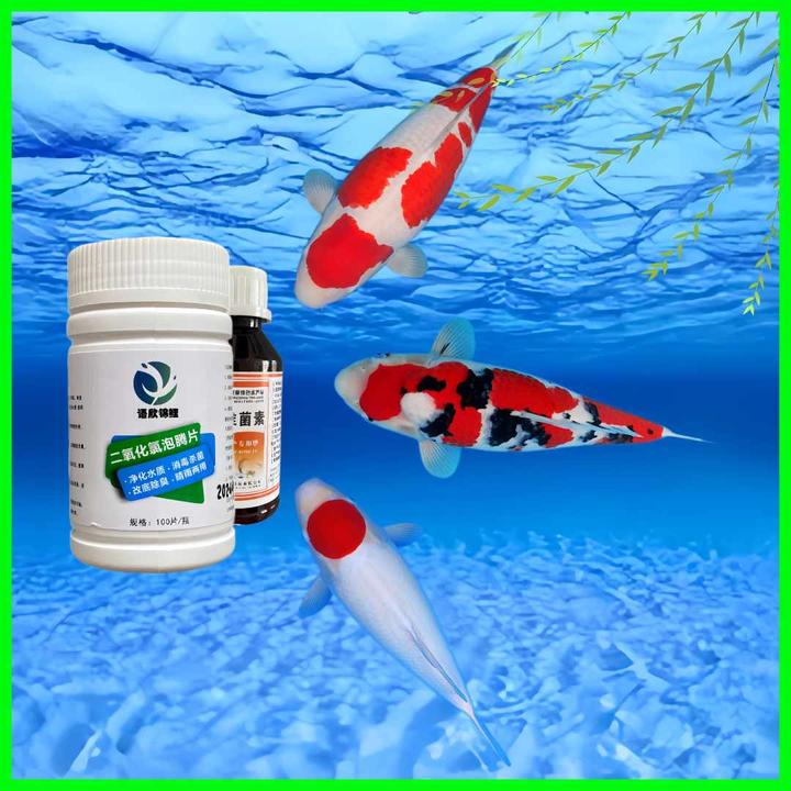 锦鲤春季秋季双杀杀菌杀虫必备二氧化氯阿维溶液外寄生虫净水剂