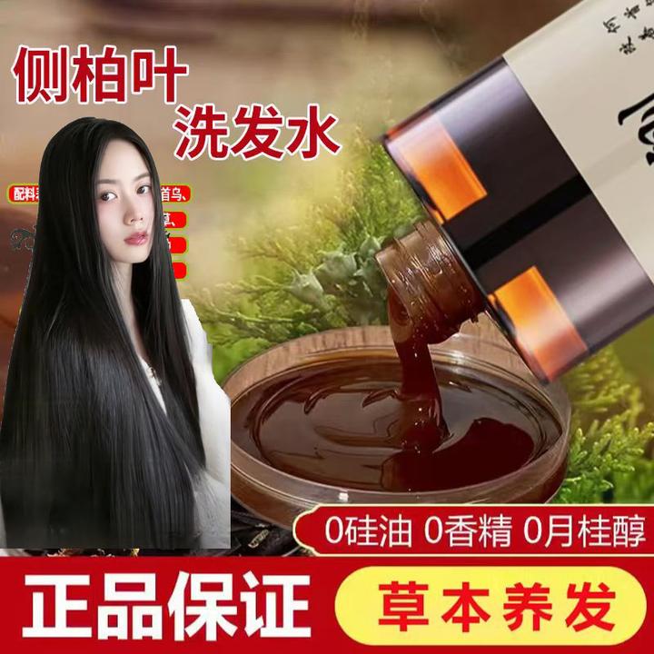 【晓雯专属】侧柏叶洗发水植物养发植物洗发水补充头发营养
