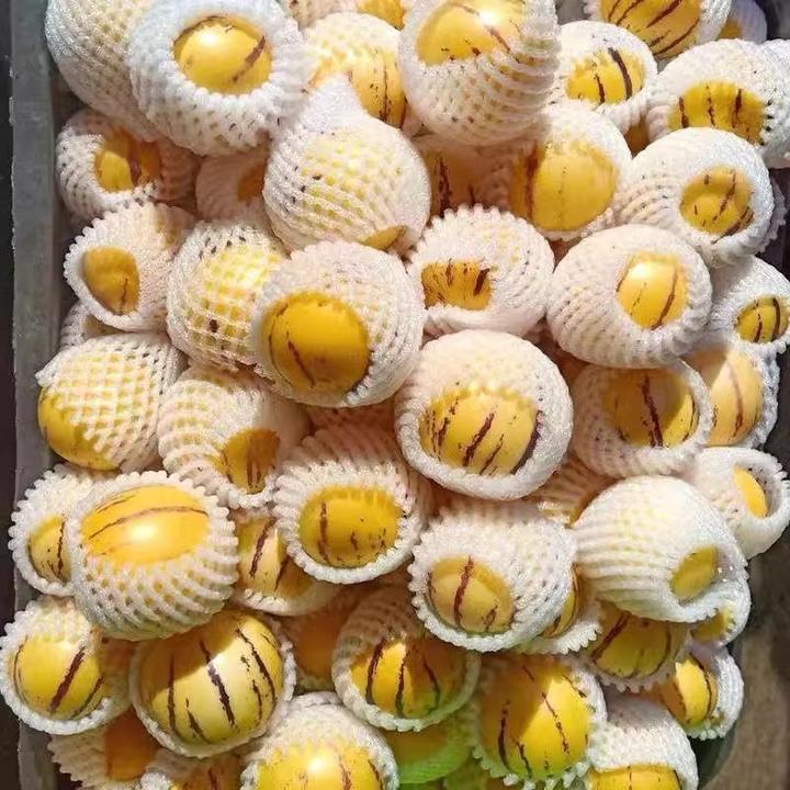 【坏果包赔】云南人参果新鲜人参果黄肉圆果3斤5斤新鲜爆汁