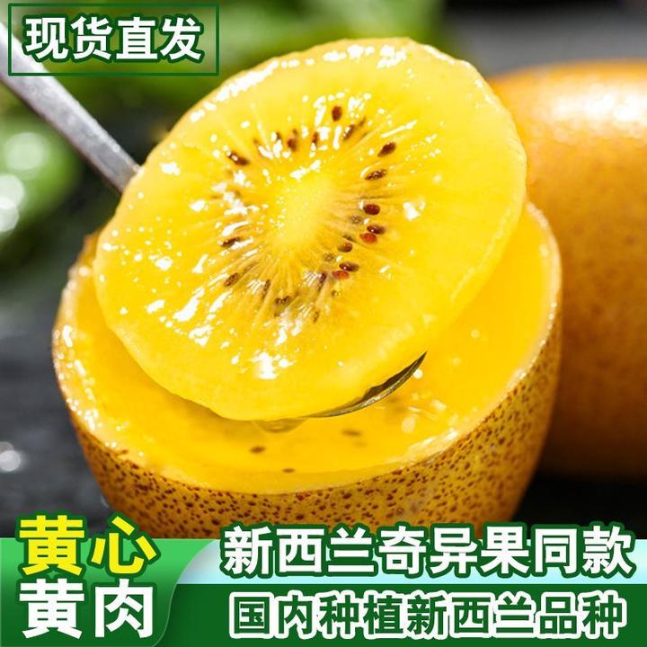 正宗黄金奇异果四川黄心猕猴桃新鲜当季水果软糯香甜爆汁年货送礼