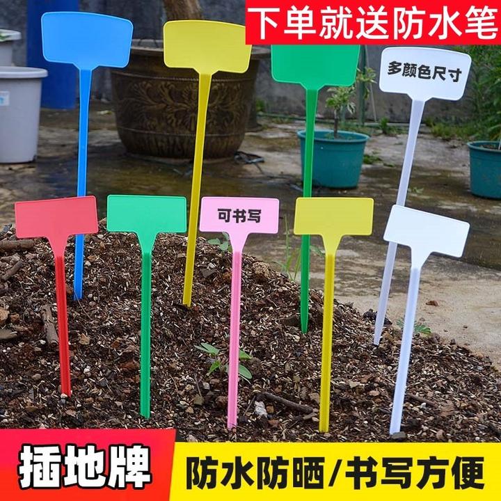 塑料大号插地牌园艺标签园艺标识牌植物指示牌插地标牌记号牌子