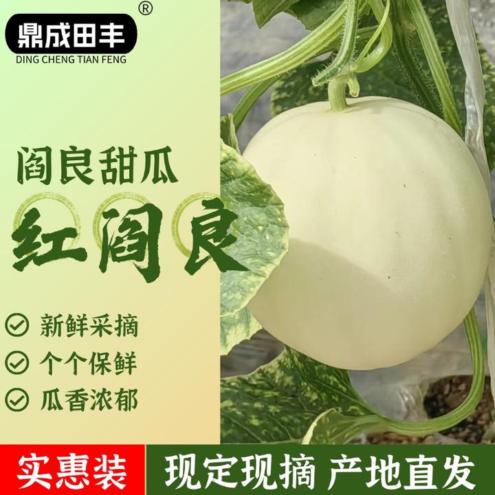 鼎成田丰陕西阎良甜瓜新季上市糯甜可口老幼妇孕喜食