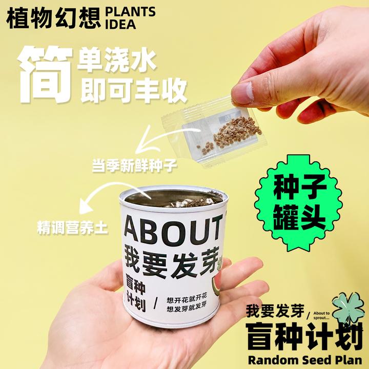 植物幻想-盲种计划 种子罐头桌面创意铁罐易拉罐-随机款10款种子