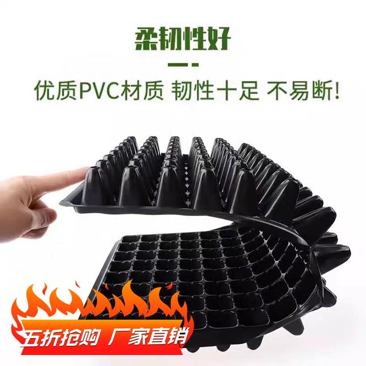 草莓苗多肉植物育苗盘蔬菜苗穴盘苗木西红柿辣椒叶插箱苗托盘育苗