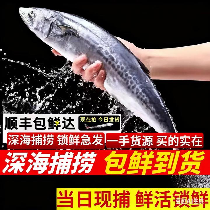 五福渔【双11大促】青岛海鲜新鲜冷冻海捕鲅鱼单条包装冷链包邮