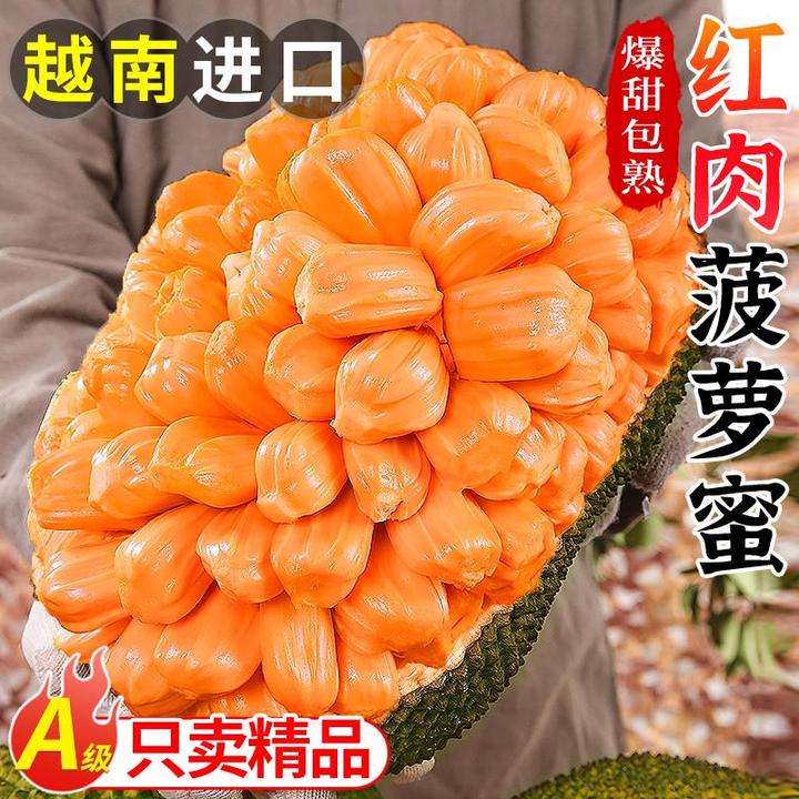 正宗越南红肉菠萝蜜新鲜水果一整个树上熟脆甜红心菠萝蜜包邮