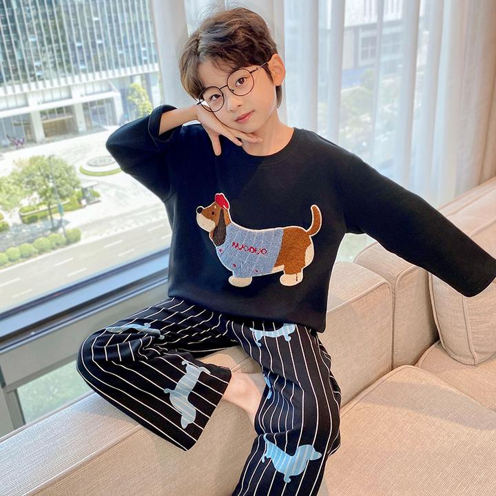 男童2025春秋季儿童睡衣长袖纯棉新款大童男孩休闲洋气家居服外穿