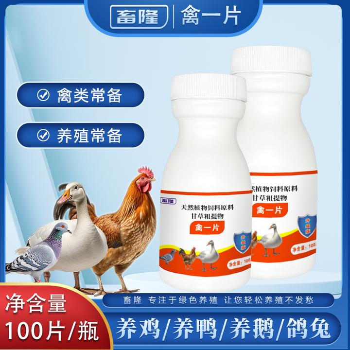 【全新升级】禽一片畜牧鸡鸭鹅鸽子家禽适用饲料添加剂厂家直销