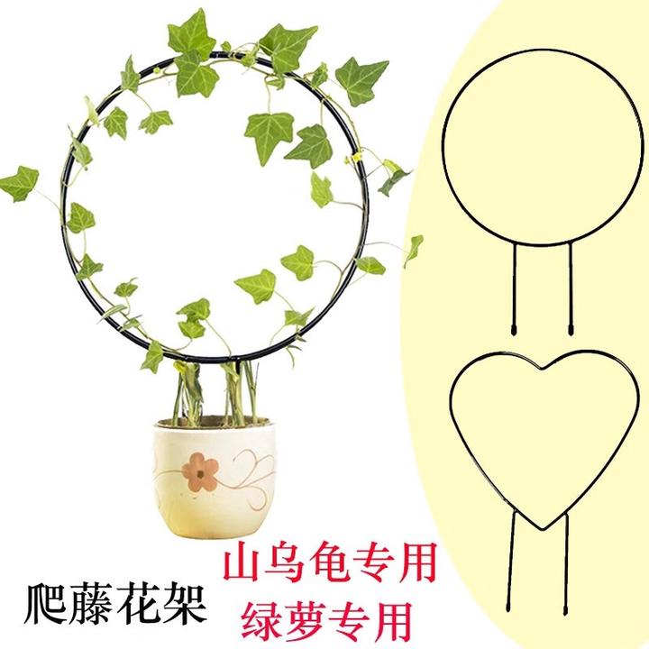 心形圆形花架室内山乌龟绿萝爬藤架子攀爬支架造型金属支撑架子