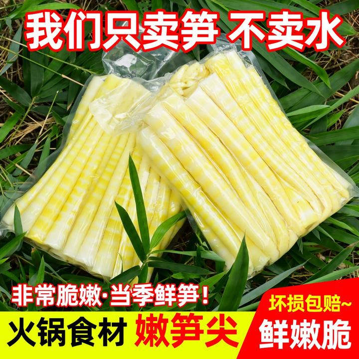四川高山去壳小竹笋新鲜嫩笋尖清水笋子脆嫩火锅笋食材笋清水笋