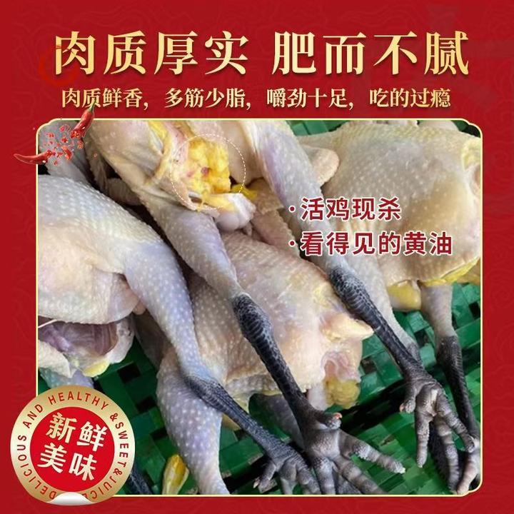 正宗农家散养400天黑脚老母鸡月子鸡煲汤鸡新鲜冷冻发货