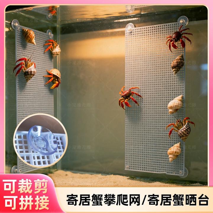 寄居蟹爬台爬梯豆丁辣椒蟹爬梯鱼缸隔离板攀爬藤螃蟹爬台乌龟晒台