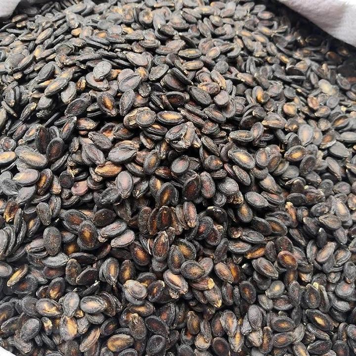 新货小片生西瓜子安庆宿松特产许岭马陵打瓜子黑西瓜子包邮