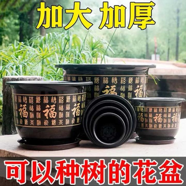 阿九专属[口径48cm高37]花盆大口径福字大花盆果树绿植盆送托盘
