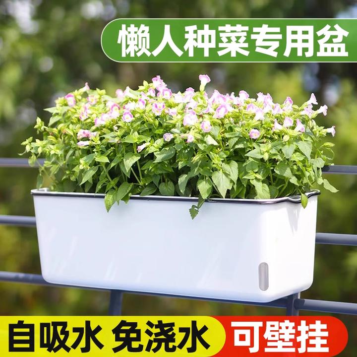 懒人种菜盆自吸水专用种花种菜盆塑料家庭阳台种菜花盆长条蔬菜盆