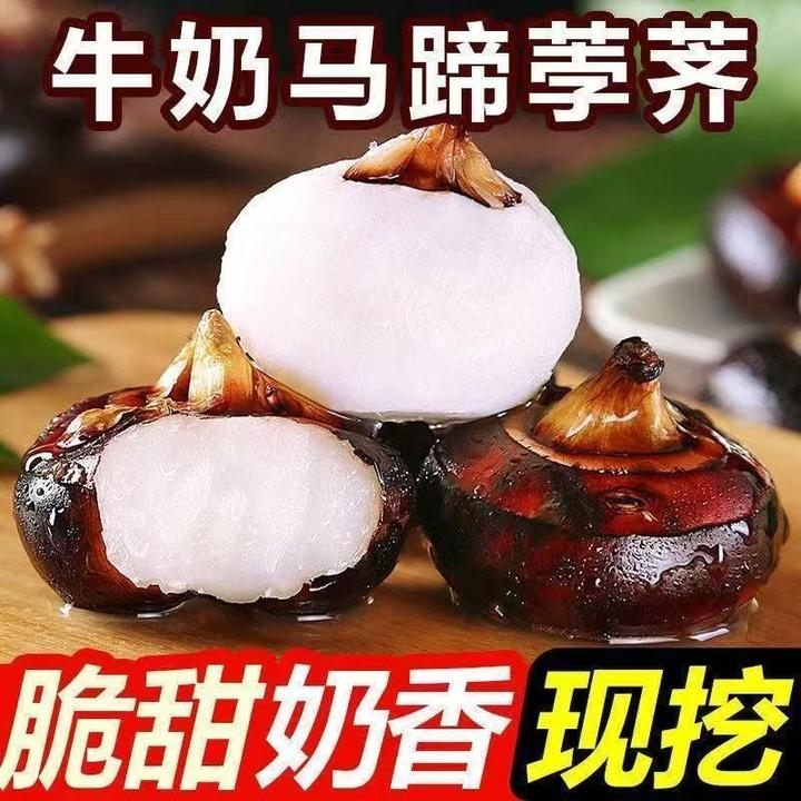 广西荔浦新鲜现挖牛奶马蹄荸荠大果水果维c脆甜多汁