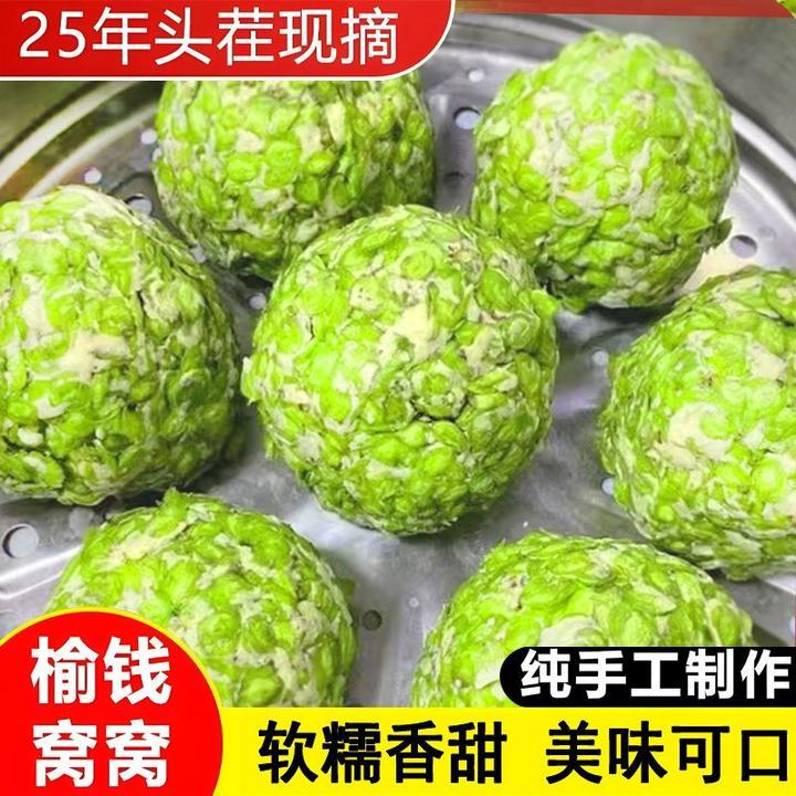 新鲜榆钱窝窝头野菜粗粮早餐新鲜手工窝窝菜团子榆钱杂粮窝头