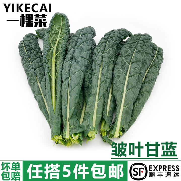 YIKECAI新鲜皱叶甘蓝菜250g-500g 黑宝石羽衣甘蓝沙拉菜