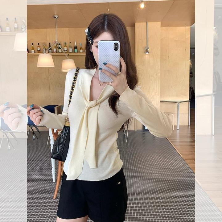 设计感V领针织打底衫女秋冬新款温柔风气质显瘦长袖法式别致上衣