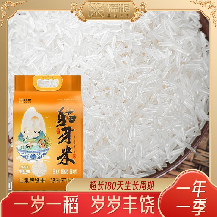高品质正宗猫牙米10/20斤当季新米长粒香丝苗米籼米煲仔饭 5斤