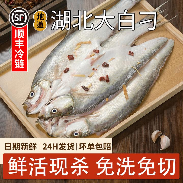 甘家风味湖北正宗大白刁鱼一条一斤左右红烧新鲜特产顺丰发货