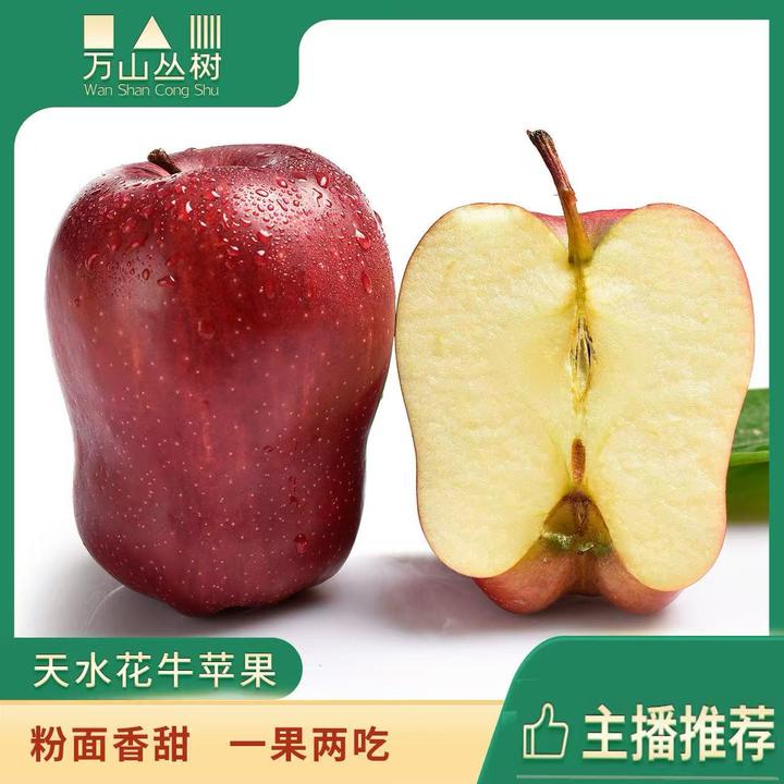 【粉糯香甜】甘肃天水花牛苹果 当季新果 蛇果 辅食 新鲜采摘 5/9斤