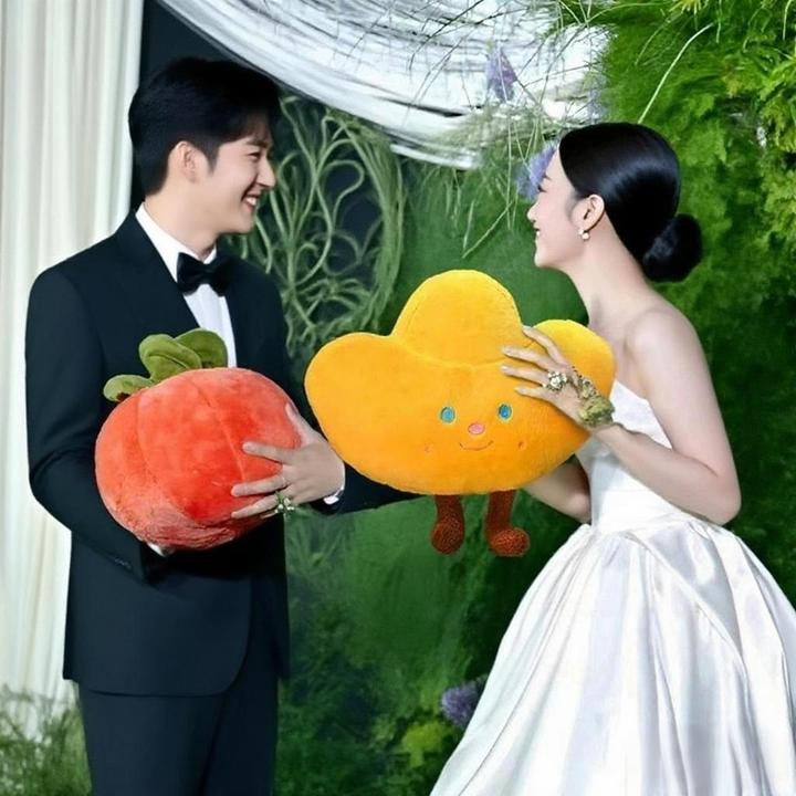 结婚礼金元宝柿子白菜狗毛绒玩具好事发生玩偶婚礼抛手捧花抱枕
