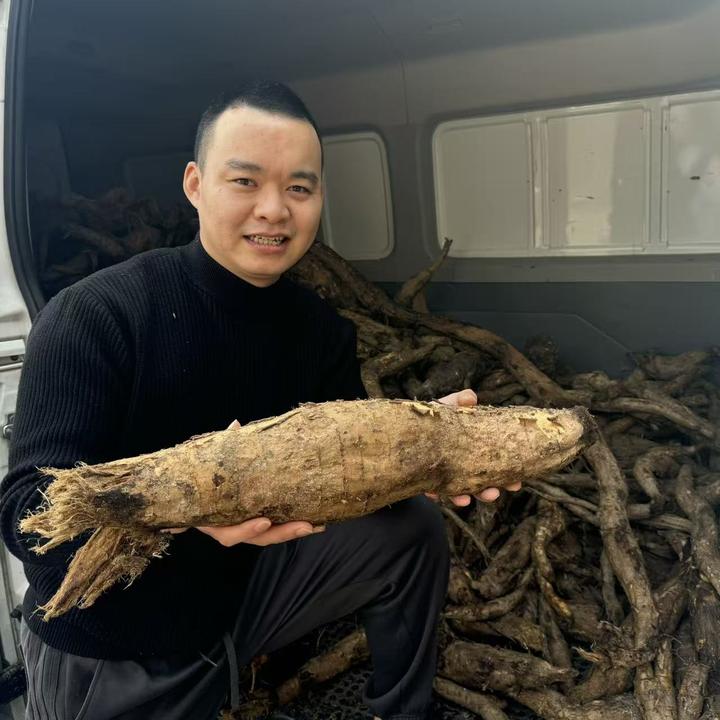 2025年葛根粉~大别山纯天然农家野生葛根粉