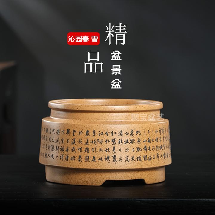 宜兴紫砂花盆圆口花盆梅花海棠老桩多肉花卉绿植盆栽金弹子陶瓷盆
