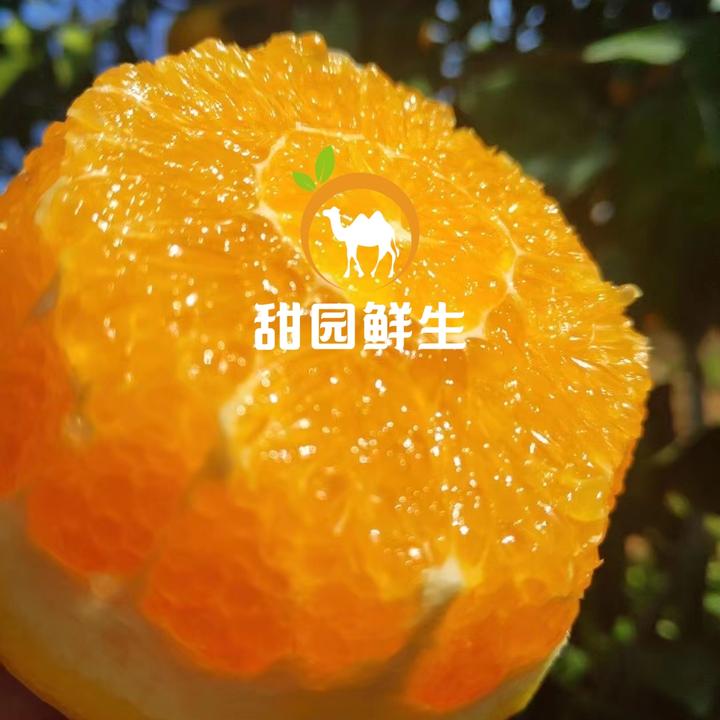 8斤.爱玛士•礼盒装[正宗赣南脐橙] 橙中橙品.高端精致.全国领鲜