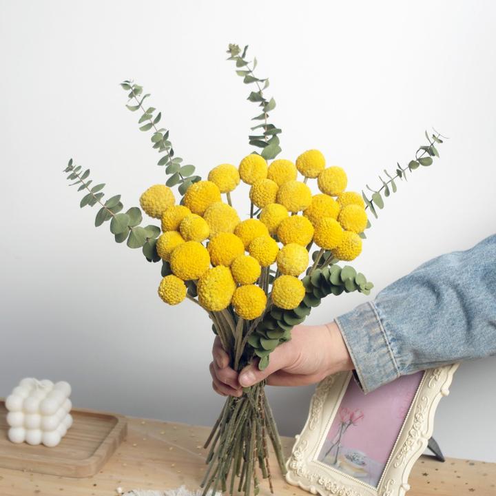天然黄金球真花干花家庭摆放装饰干燥花卉插花送人花束搭配花新娘