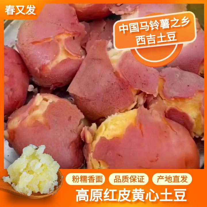 正宗西吉山沟沟土豆洋芋马铃薯沙面优质黄心品种洋芋固原土豆