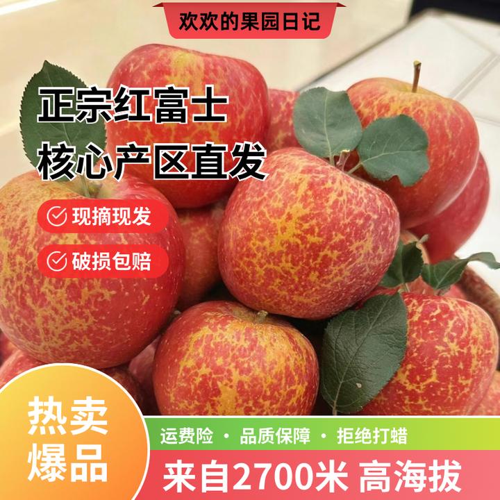 云南昭通冰糖心红富士丑苹果5斤净重现摘现发脆甜多汁应季水果