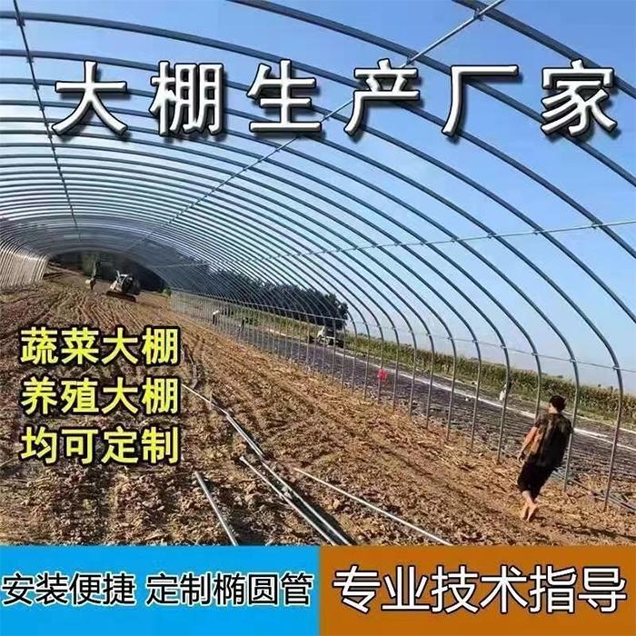椭圆管暖棚养猪羊牛棚定制养鸡棚种植菜棚连体连栋棚全套支架家用