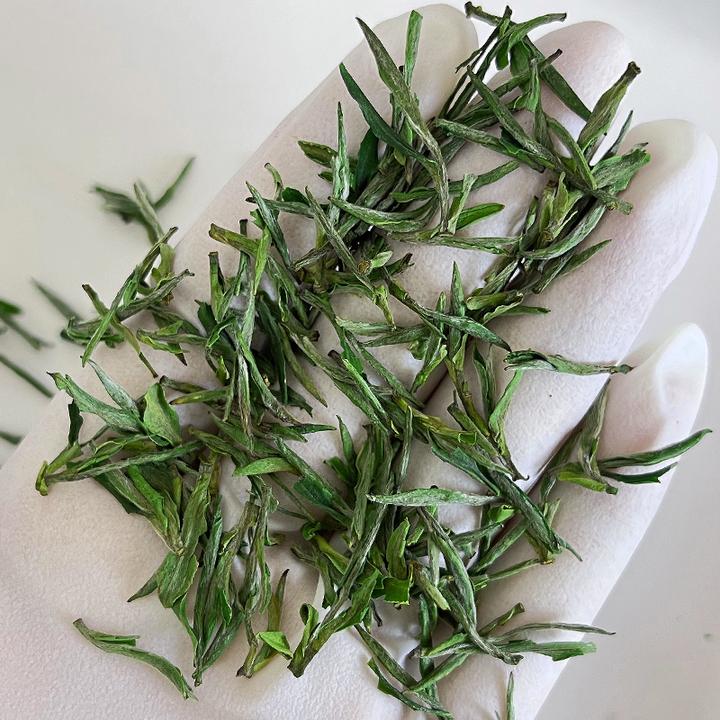 岳西翠兰2025特级春茶明前茶新茶礼茶头采茶绿茶翠尖兰花香耐泡